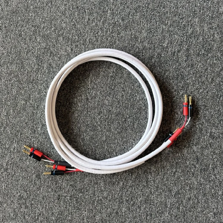 CHORD-C-Screen-2m-Para.jpeg