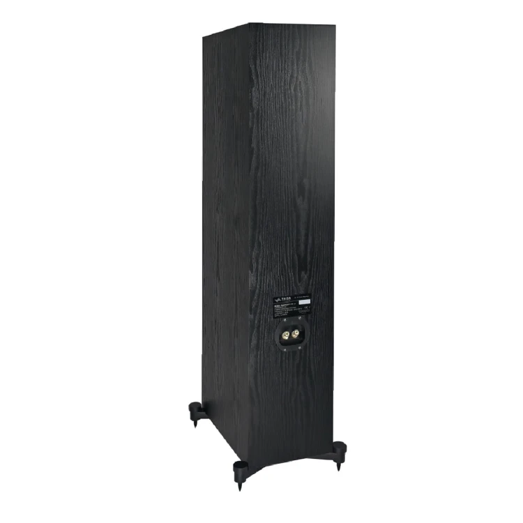 TAGA F-100-3.jpg