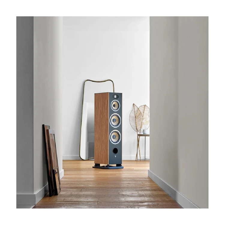 FOCAL-EVO-X-No4-WL-3.jpg