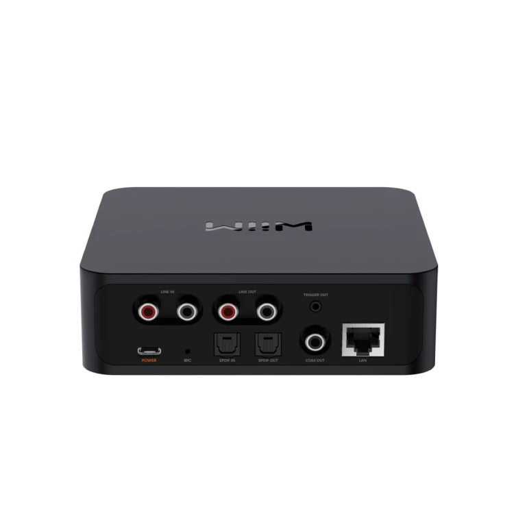 WIIM-PRO-PLUS-3.jpg