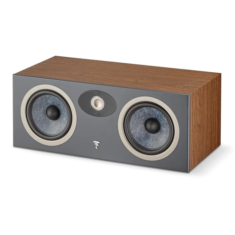 FOCAL-THEVA-CENTER-DW-1.jpg
