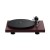 PRO-JECT-DEBUT-CARBON-EVO-2-ST-WR.jpg