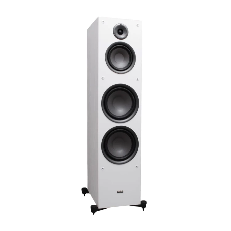 tav807-13.jpg