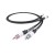 CHORD-SignatureX-Tuned-ARAY-RCA-1.jpg