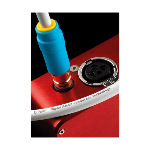 CORD-C-DIGITAL-RCA-2.jpg