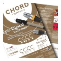 CHORD-Epic-Digital-Tuned-ARAY-RCA-2.jpg