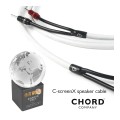 CHORD-C-screen-2.jpg