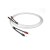 CHORD-Clearway-1.jpg