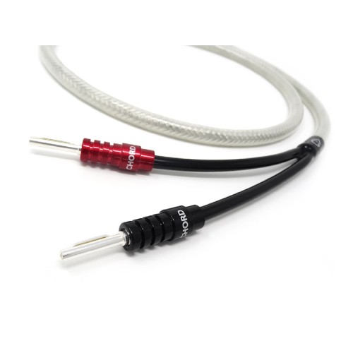 CHORD-ShawlineX-2.jpg
