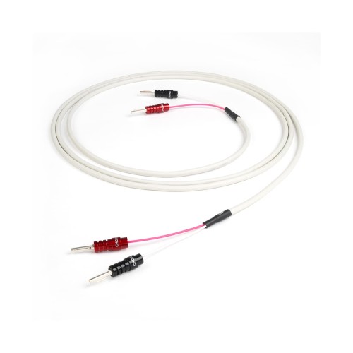 CHORD-RumourX-SPE-1.jpg