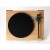 REGA-PLANAR-3-LO-2.jpg