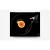 REGA-PLANAR-3-BK-1.jpg