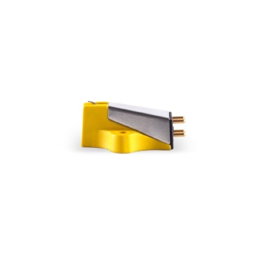 REGA-EXACT-MM-1.jpg