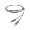 CHORD-Leyline-RCA-1.jpg