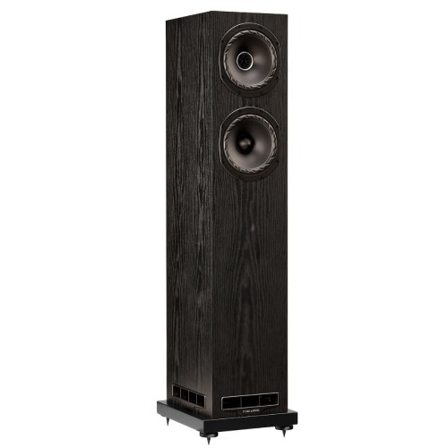 FYNE AUDIO F501 BK-1.jpg