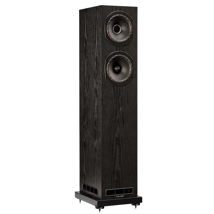 FYNE AUDIO F501 BK-1.jpg