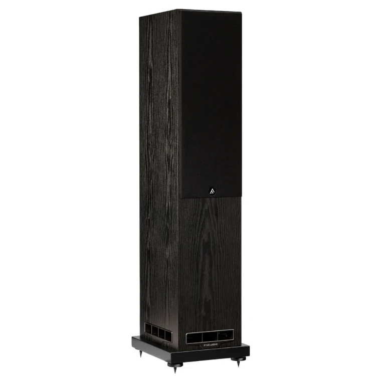 FYNE AUDIO F501 BK-2.jpg