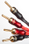 TAGA HARMONY TCB-008-1.PNG