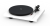 PRO-JECT DEBUT CARBON EVO WH-1.png