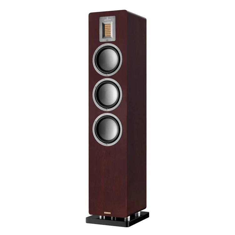 AUDIOVEKTOR-QR5-SE-03.jpg
