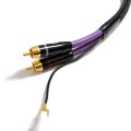 PURPLE-MDPH05-06.jpg