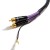 PURPLE-MDPH05-06.jpg