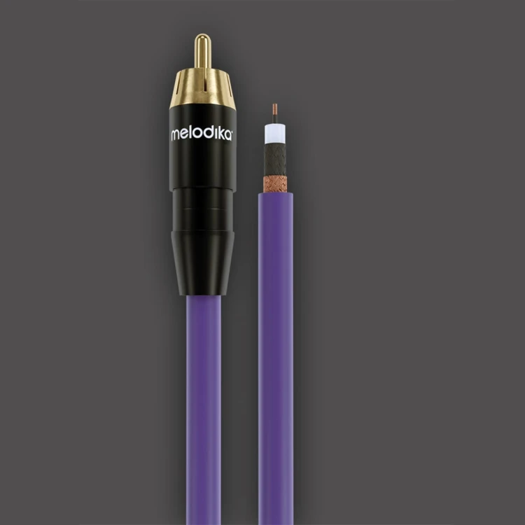 PURPLE-MDPH05-03.jpg