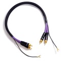 PURPLE-MDPH05-02.jpg