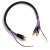 PURPLE-MDPH05-02.jpg