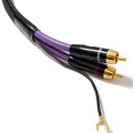 PURPLE-MDPH05-01.jpg