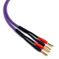 PURPLE-MDSC1530-01.jpg