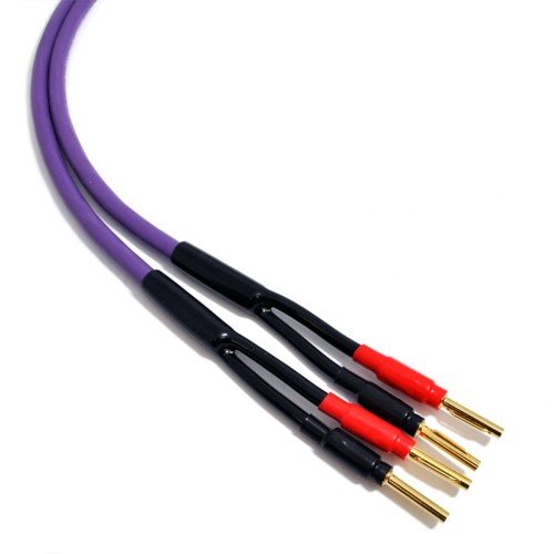 PURPLE-MDSC1530-01.jpg