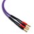 PURPLE-MDSC1530-01.jpg