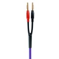 PURPLE-MDSC1530-02.jpg