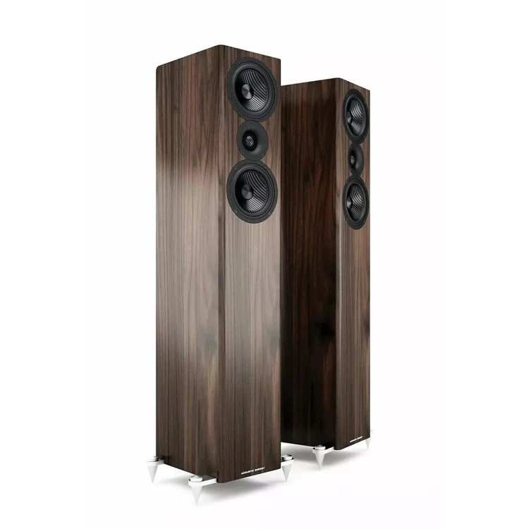 ACOUSTIC-ENERGY-AE509-04.jpg