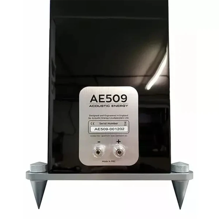 ACOUSTIC-ENERGY-AE509-08.jpg