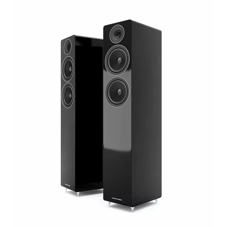 ACOUSTIC-ENERGY-AE309-05png.jpg