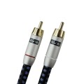 SVS-SUB-RCA-1.jpg